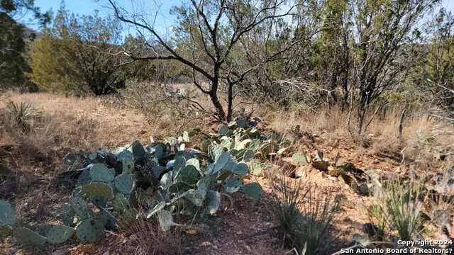 01 Warhorse Ranch Robert Lee, TX 76945