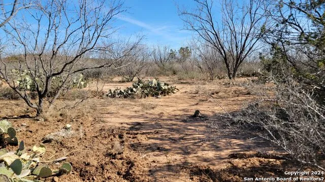 01 Warhorse Ranch Robert Lee, TX 76945