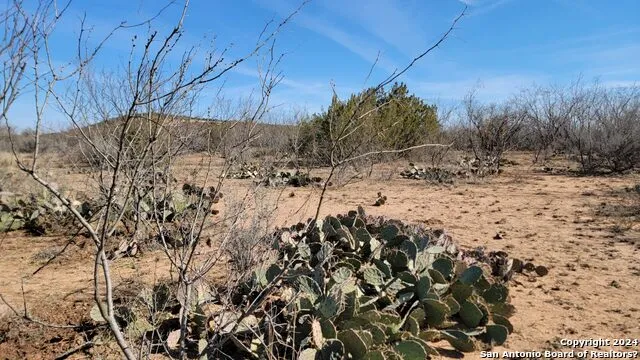 01 Warhorse Ranch Robert Lee, TX 76945