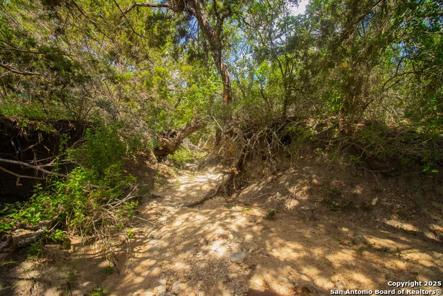 000 Wallace Creek rd Medina, TX 78055
