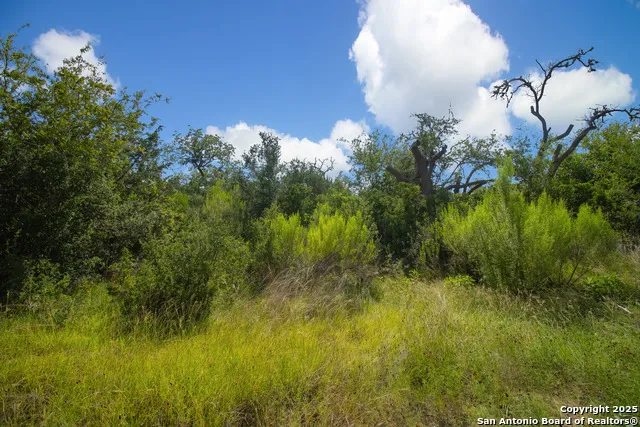 000 Wallace Creek rd Medina, TX 78055