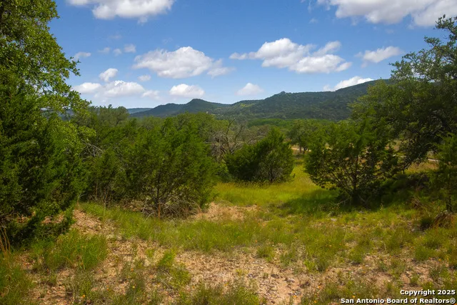 000 Wallace Creek rd Medina, TX 78055