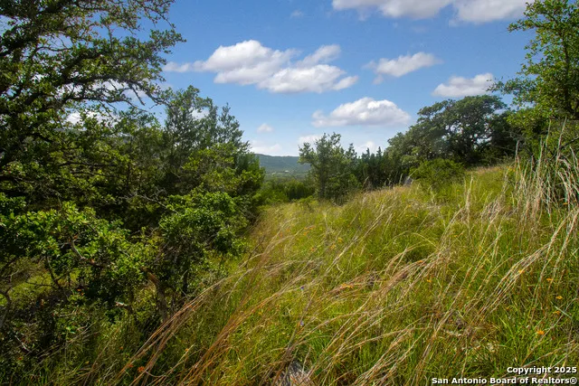 000 Wallace Creek rd Medina, TX 78055