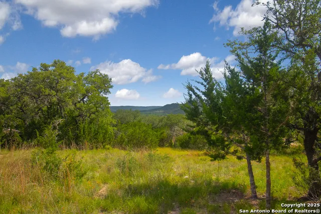 000 Wallace Creek rd Medina, TX 78055