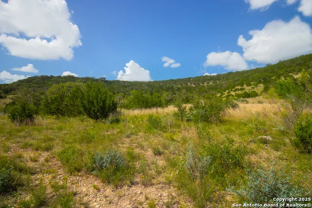 000 Wallace Creek rd Medina, TX 78055