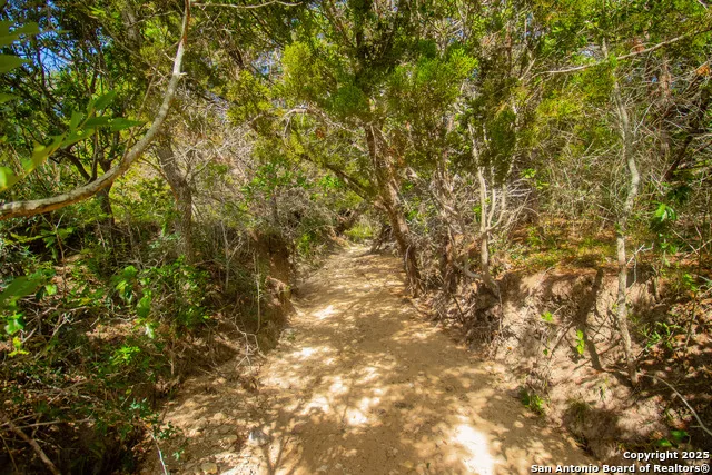 000 Wallace Creek rd Medina, TX 78055