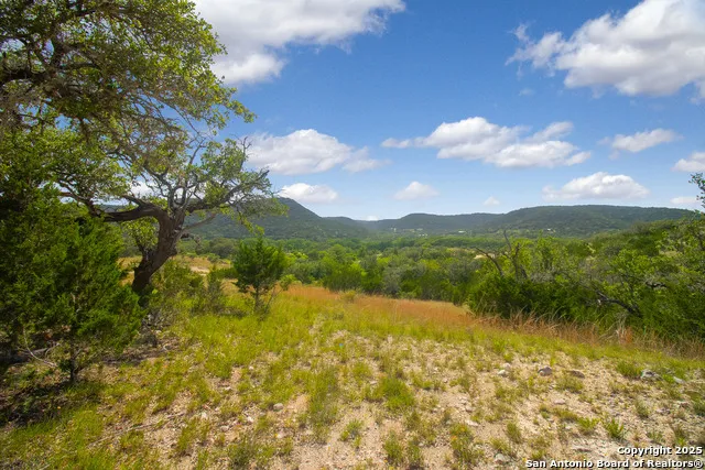 000 Wallace Creek rd Medina, TX 78055