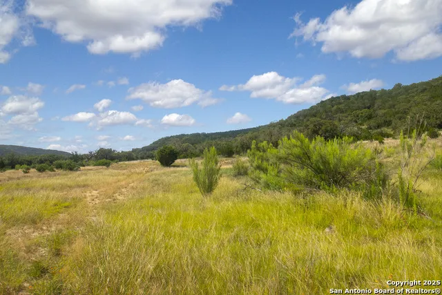 000 Wallace Creek rd Medina, TX 78055