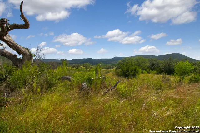 000 Wallace Creek rd Medina, TX 78055