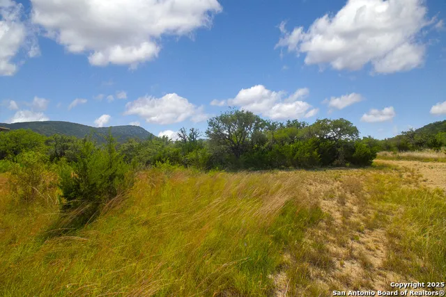 000 Wallace Creek rd Medina, TX 78055