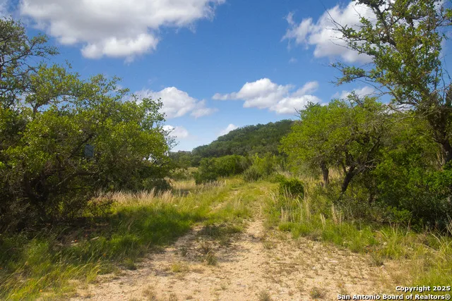 000 Wallace Creek rd Medina, TX 78055