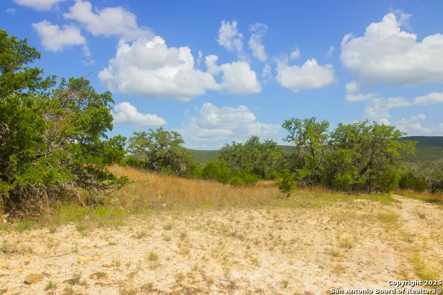 000 Wallace Creek rd Medina, TX 78055