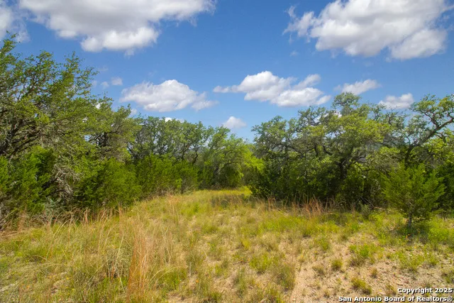 000 Wallace Creek rd Medina, TX 78055