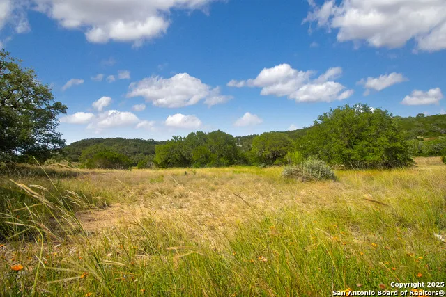 000 Wallace Creek rd Medina, TX 78055