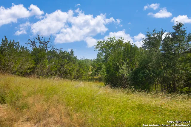 000 Wallace Creek rd Medina, TX 78055