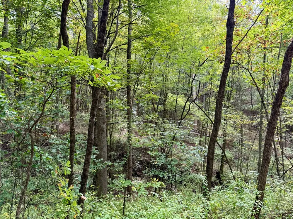 Whispering Ridge Tuckasegee, NC 28783