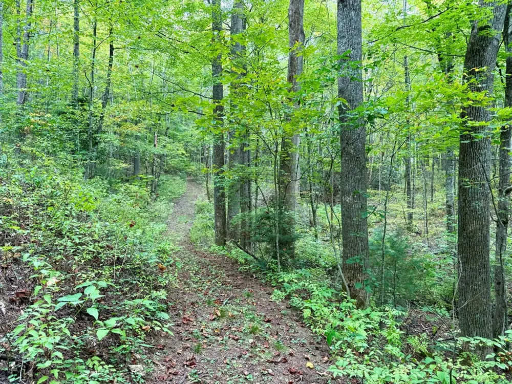 Whispering Ridge Tuckasegee, NC 28783