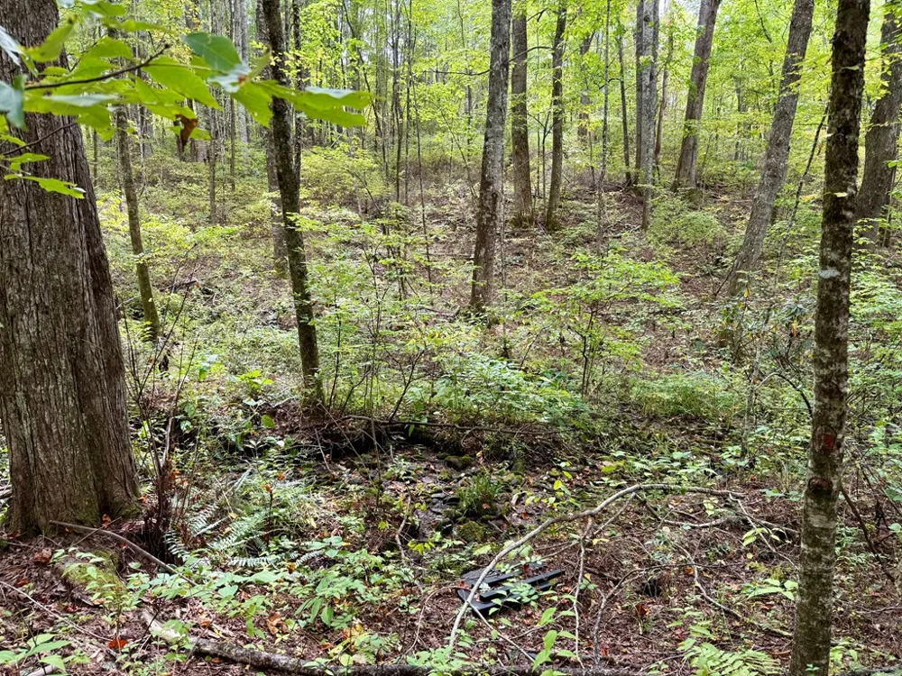 Whispering Ridge Tuckasegee, NC 28783