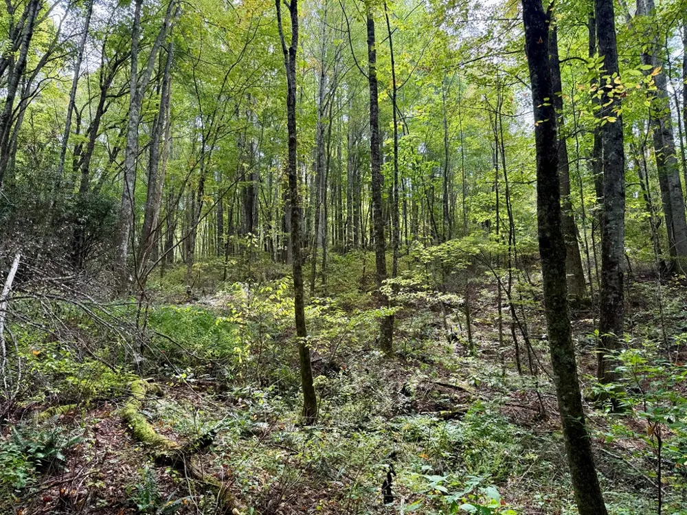 Whispering Ridge Tuckasegee, NC 28783