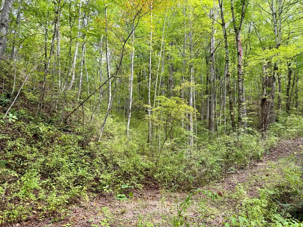 Whispering Ridge Tuckasegee, NC 28783