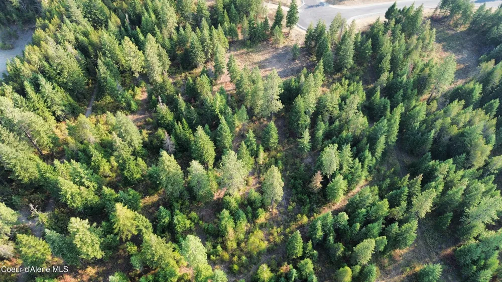 Lt 4 Blk 1 Wendland Way Spirit Lake, ID 83869
