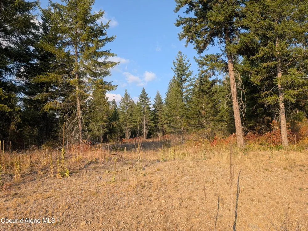 Lt 4 Blk 1 Wendland Way Spirit Lake, ID 83869