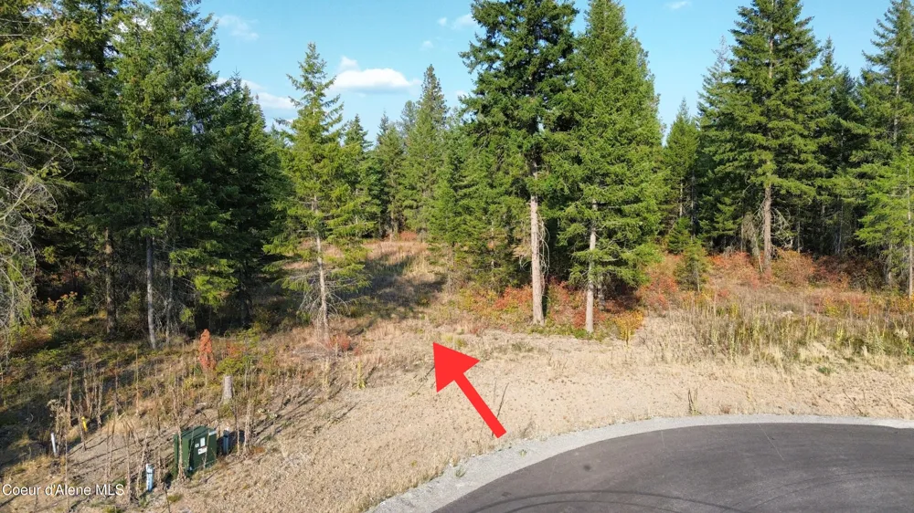 Lt 4 Blk 1 Wendland Way Spirit Lake, ID 83869