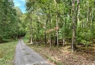 TBD Walnut Hills Circle Crumpler, NC 28617