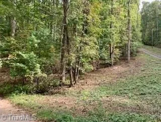 TBD Walnut Hills Circle Crumpler, NC 28617