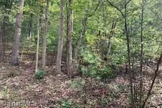 TBD Walnut Hills Circle Crumpler, NC 28617