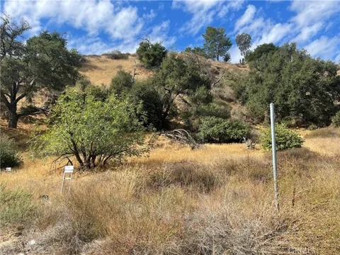 Chiquita Canyon RD