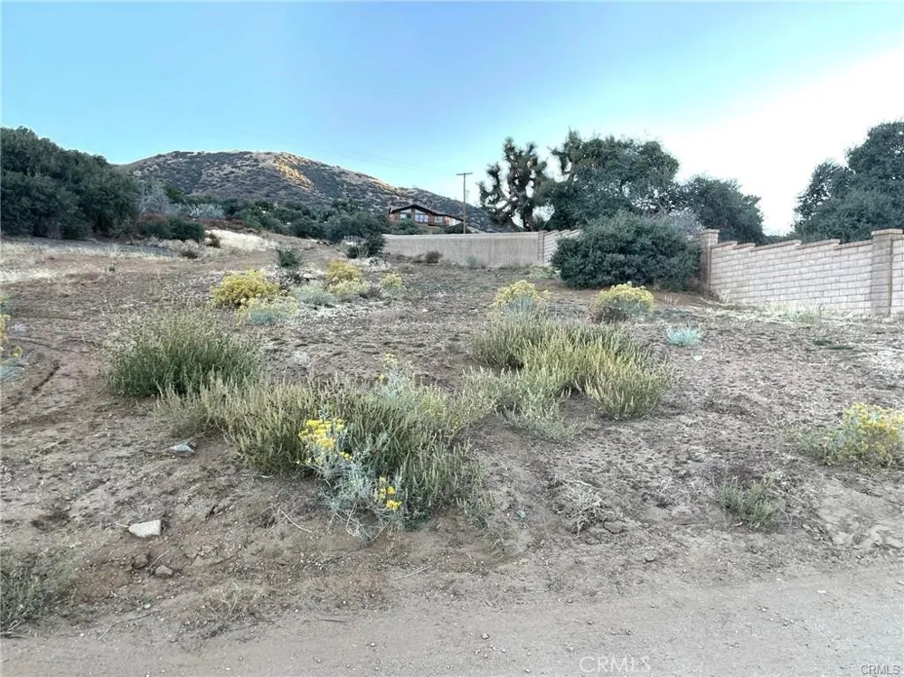 14 Camares Drive Palmdale, CA 93551