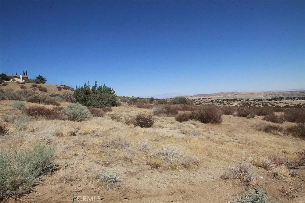 Camares Drive Palmdale, CA 93551