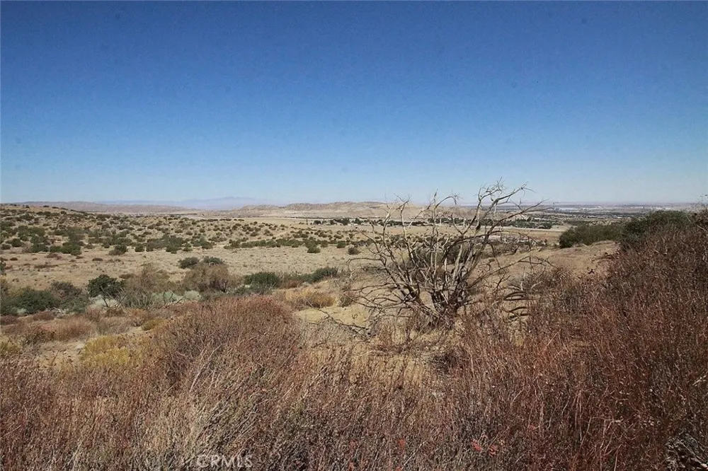 Camares Drive Palmdale, CA 93551