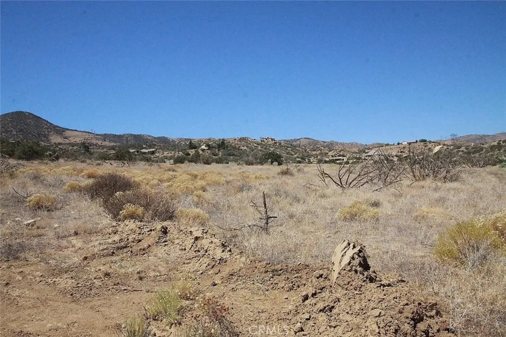Camares Drive Palmdale, CA 93551