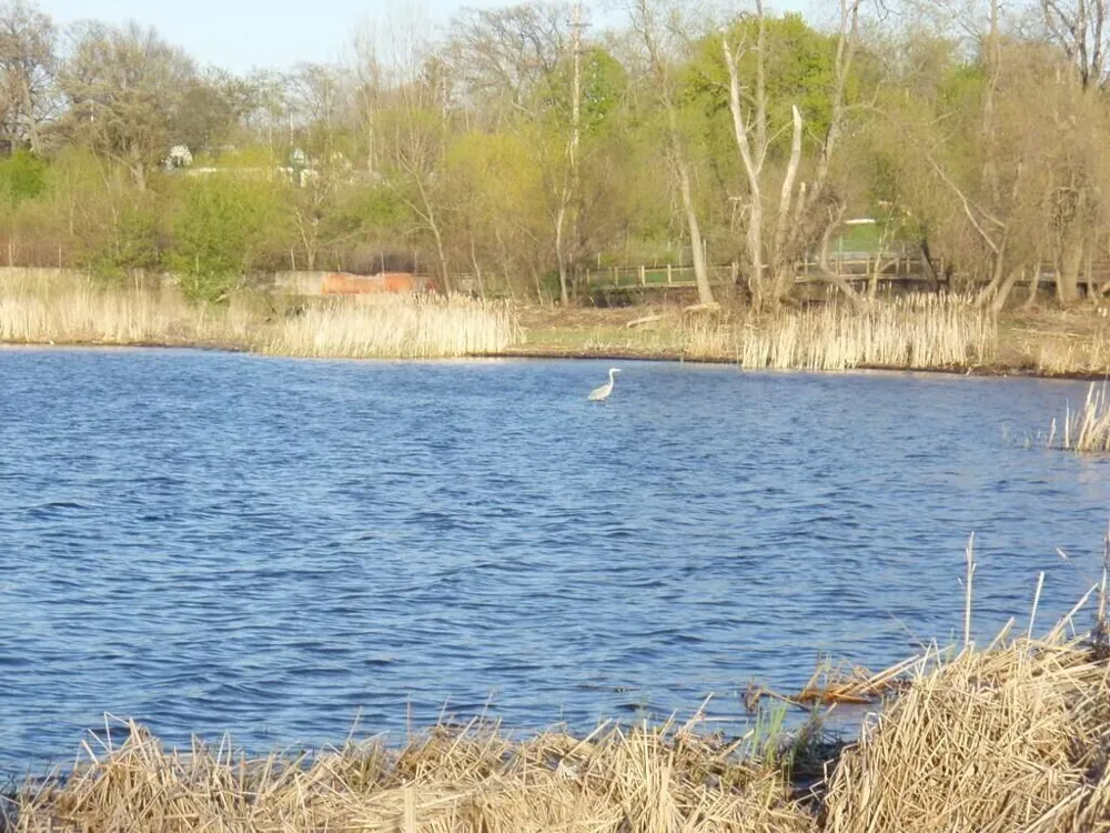 1794 Lakeshore Drive Muskegon, MI 49441