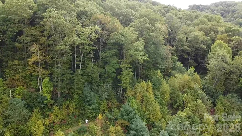 97 Settings Boulevard Black Mountain, NC 28711