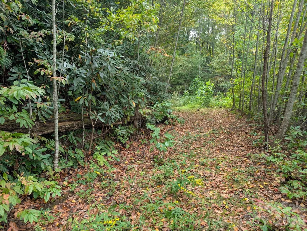 97 Settings Boulevard Black Mountain, NC 28711