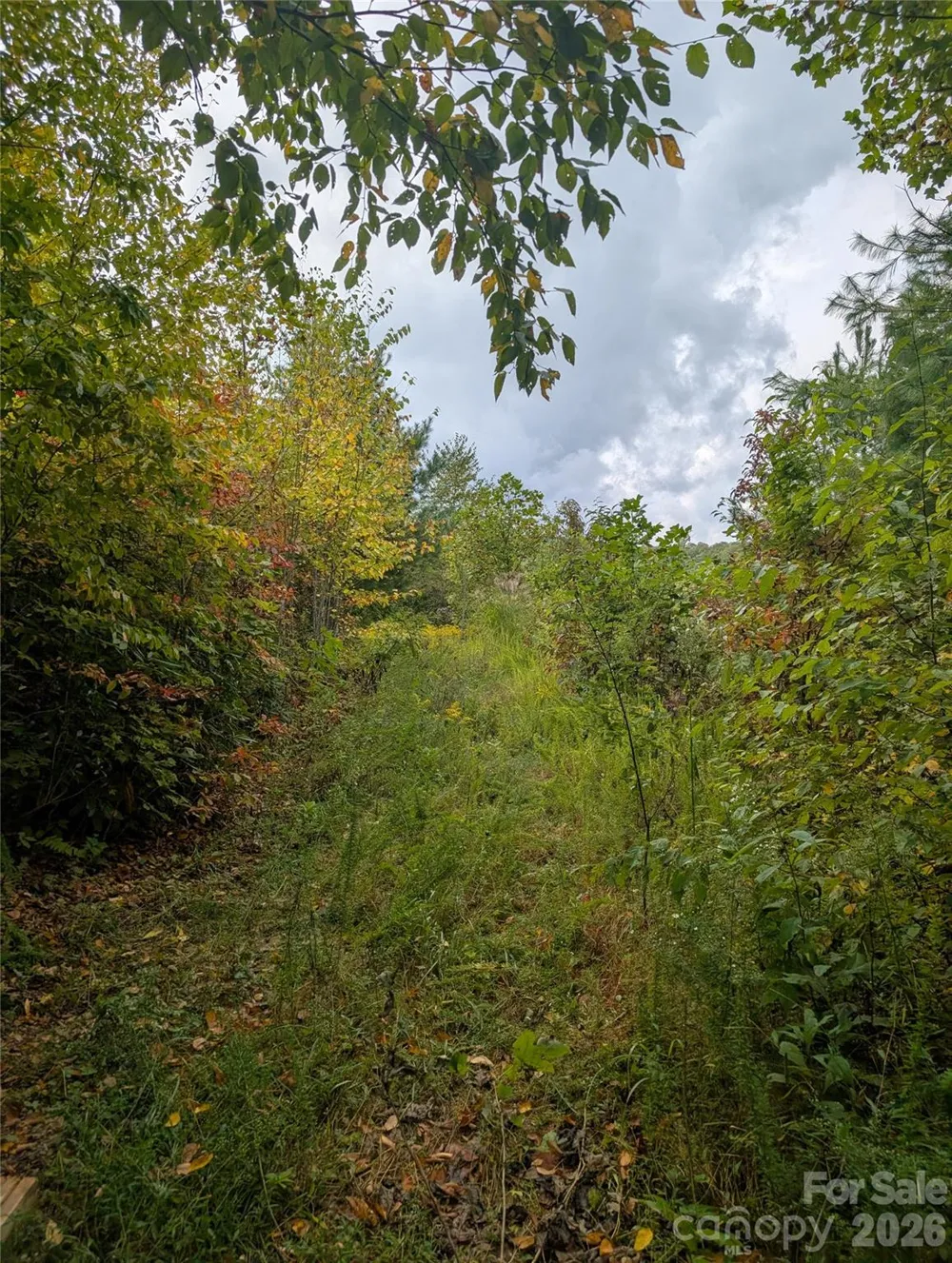 97 Settings Boulevard Black Mountain, NC 28711