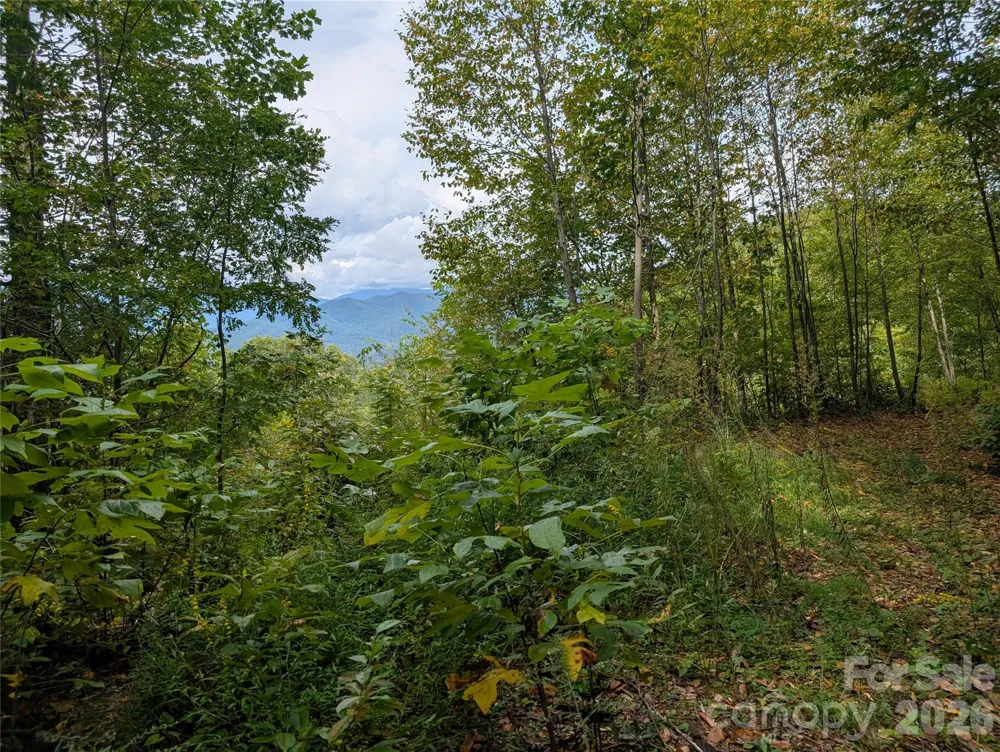 97 Settings Boulevard Black Mountain, NC 28711