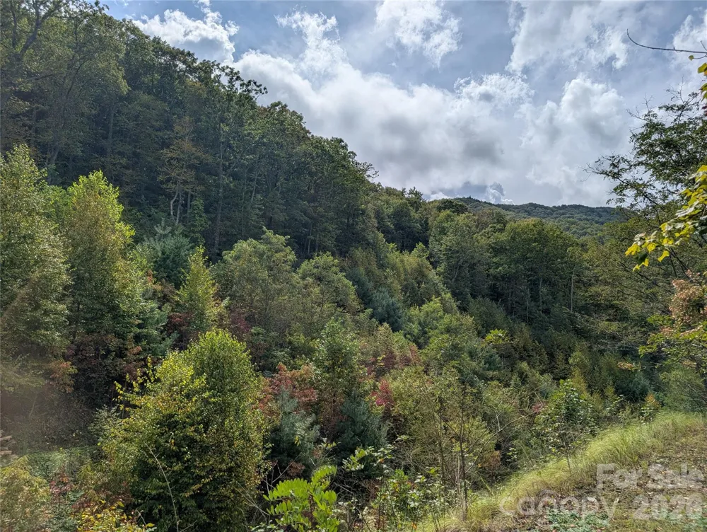 97 Settings Boulevard Black Mountain, NC 28711
