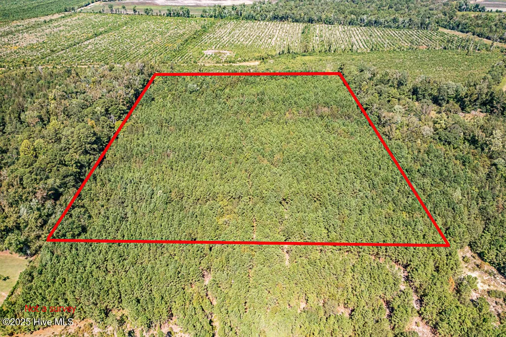 780 Campbell Road Vanceboro, NC 28586