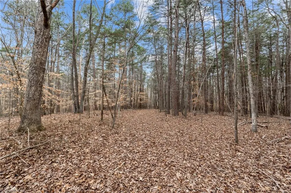 8729 B Allison Road Cedar Grove, NC 27231