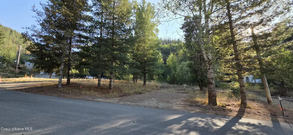924 Lower Page Road Smelterville, ID 83868