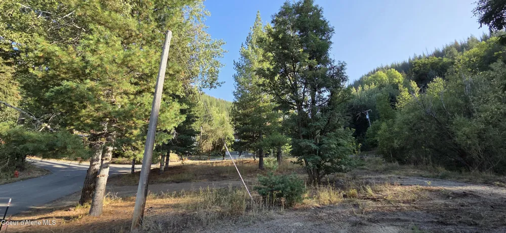 924 Lower Page Road Smelterville, ID 83868