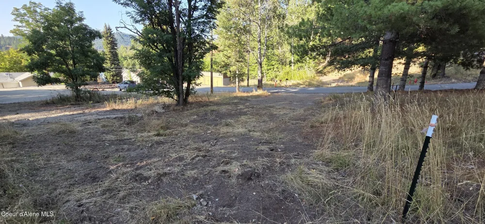 924 Lower Page Road Smelterville, ID 83868