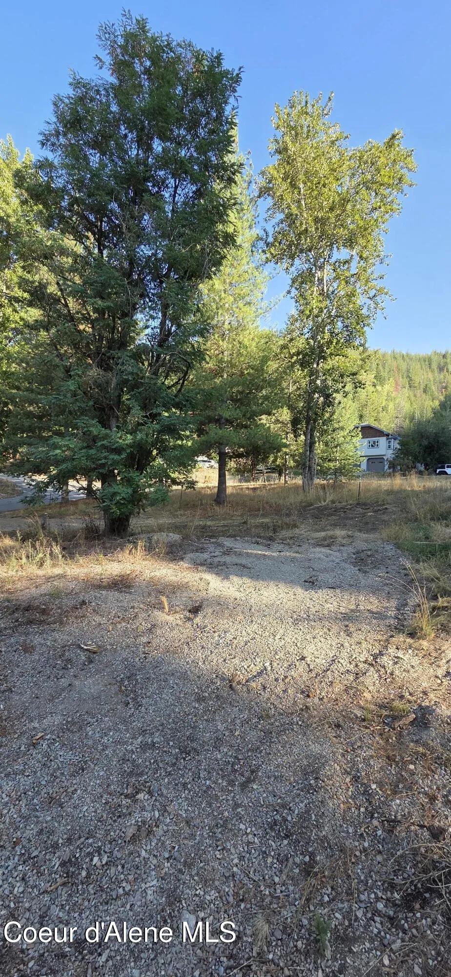 924 Lower Page Road Smelterville, ID 83868