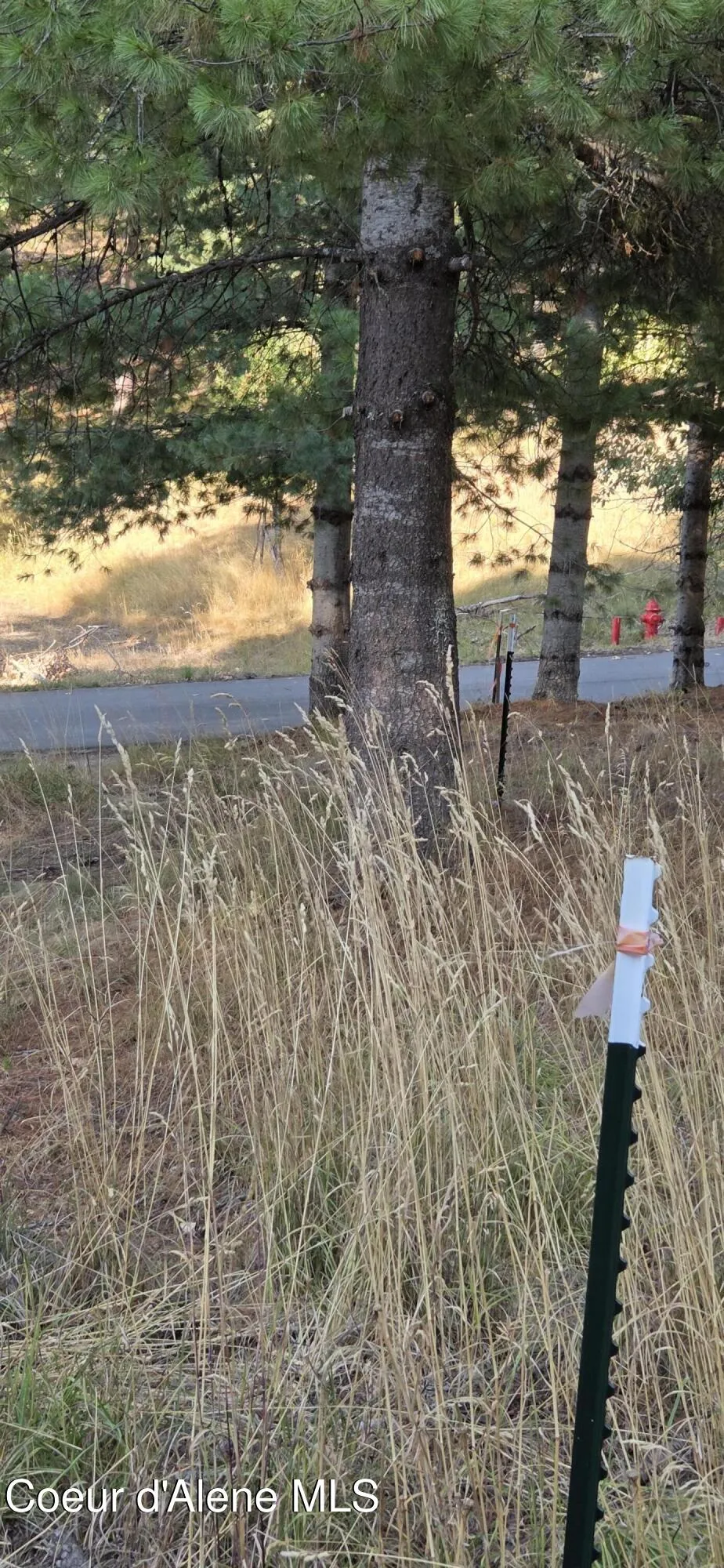 924 Lower Page Road Smelterville, ID 83868