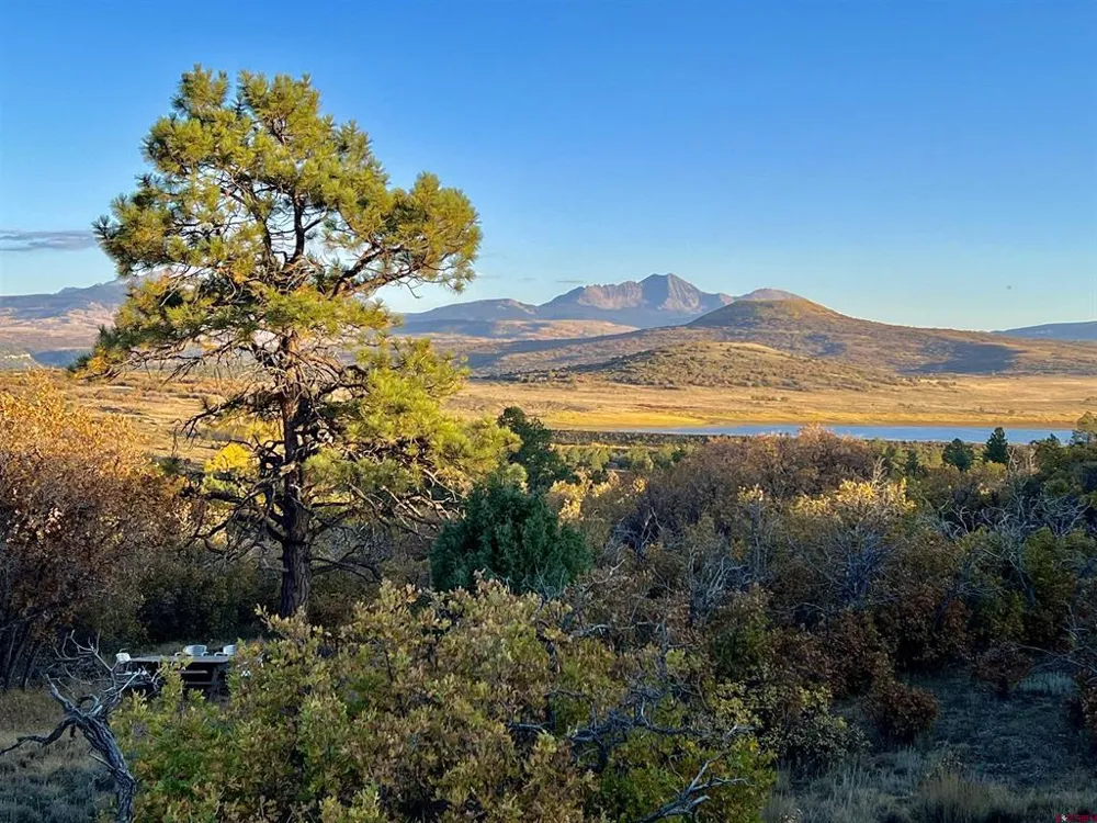 28 Gurley Lake Drive Norwood, CO 81423