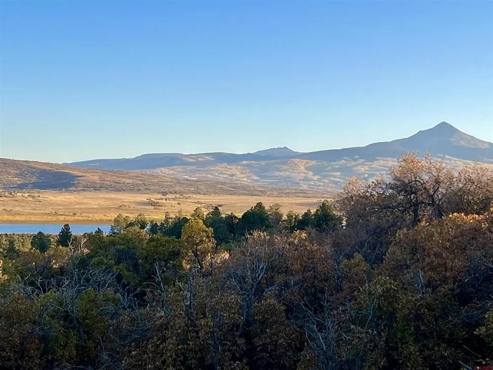 28 Gurley Lake Drive Norwood, CO 81423